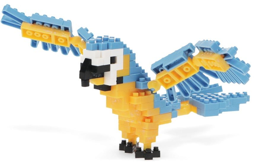 Model Brick Kit - Macaw, 11cm