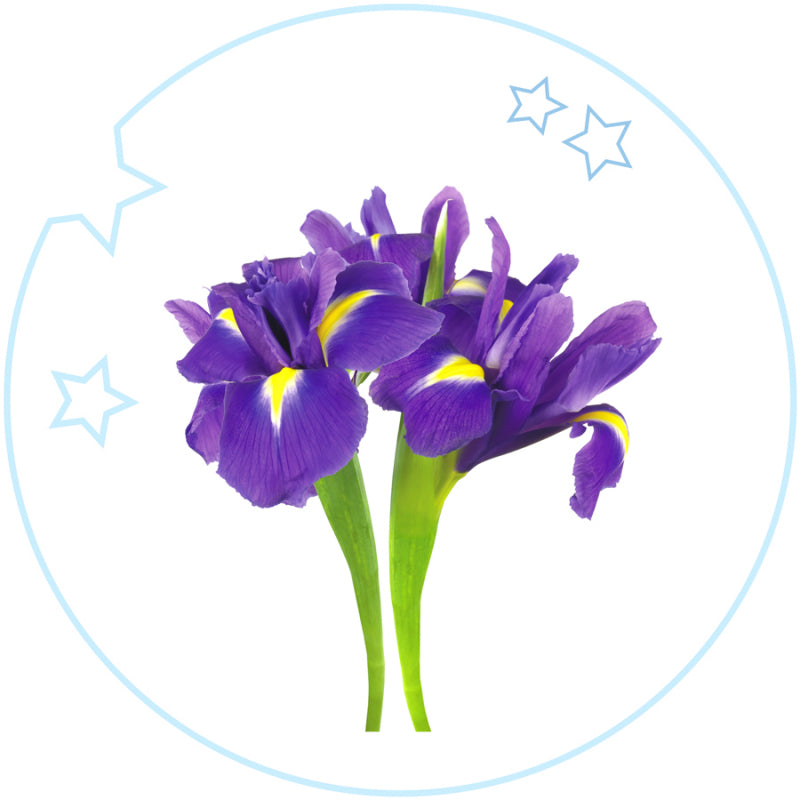 Yodeyma Kids Eau de Toilette