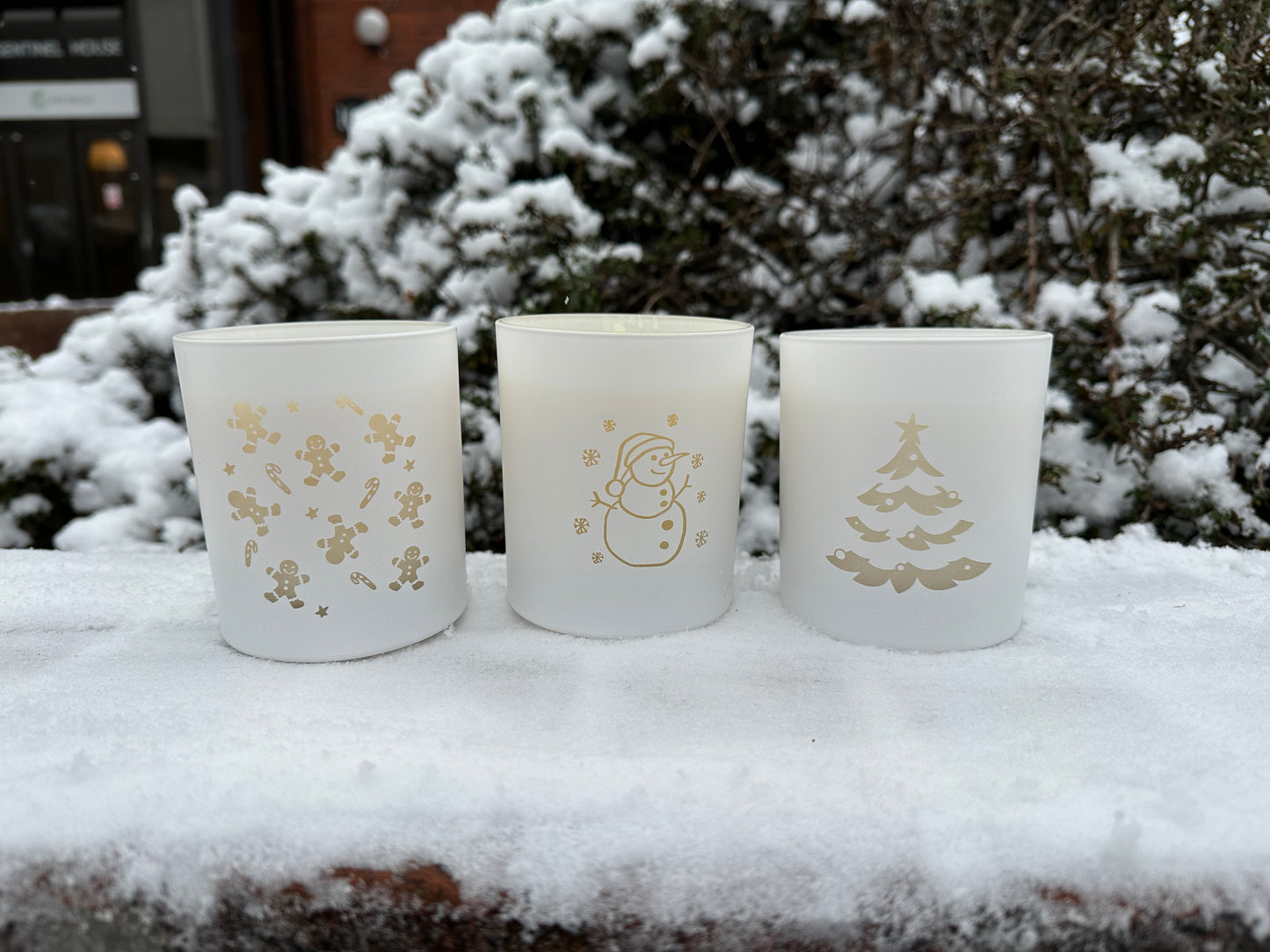 Bougie pour arbre de Noël en édition limitée « Pining For You »