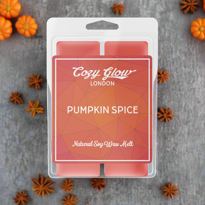 Pumpkin Spice Soy Wax Melt