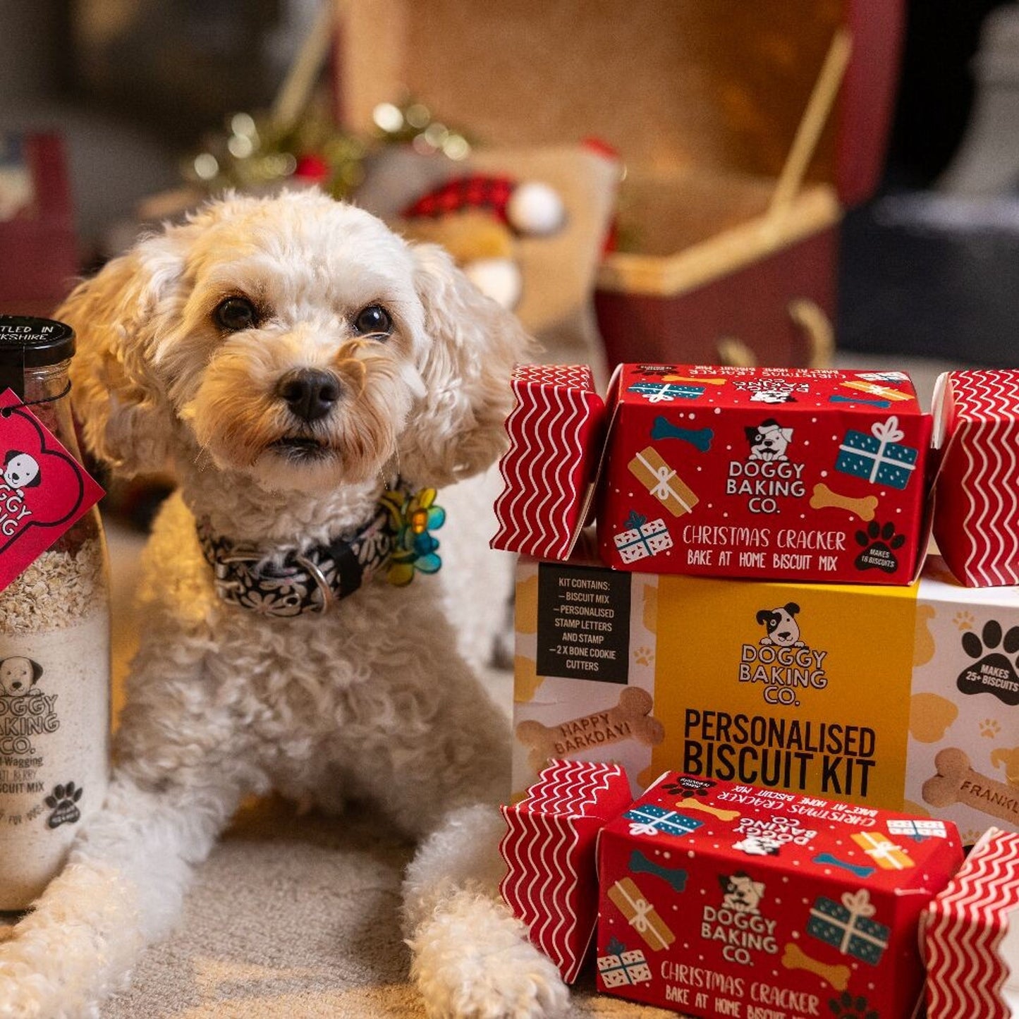 Doggy Baking Co Christmas Cracker Biscuit Mix