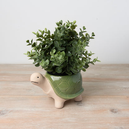 Green Tortoise Planter, 18.4cm