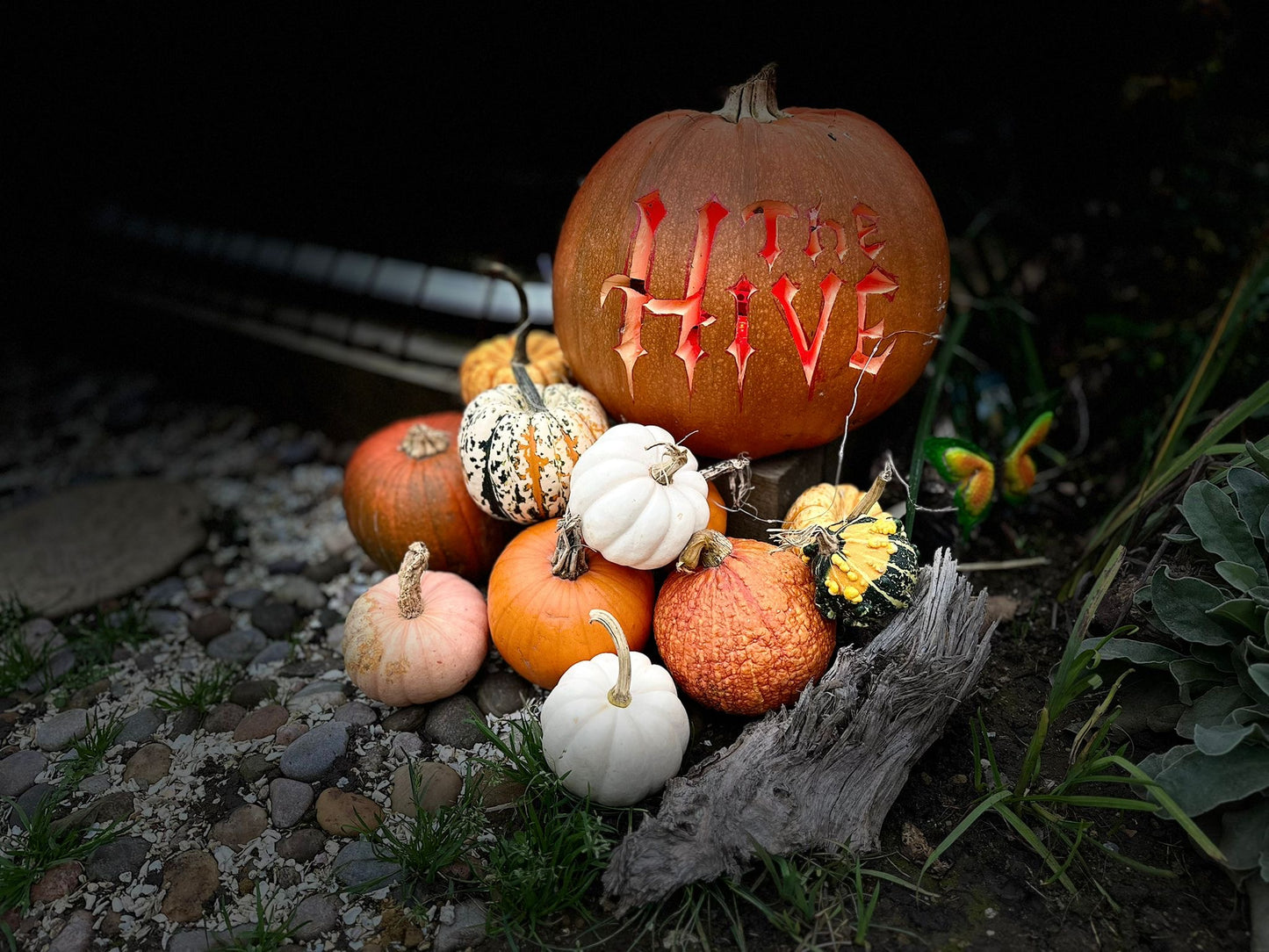 Billet Trick or Treat de Coulsdon