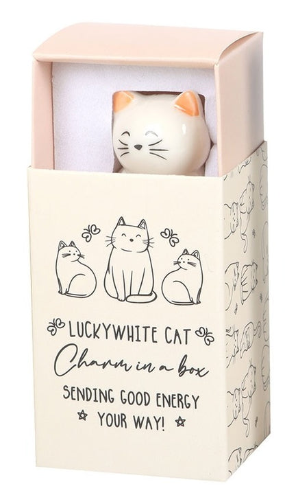 Lucky Cat Charms In A Box | White or Black