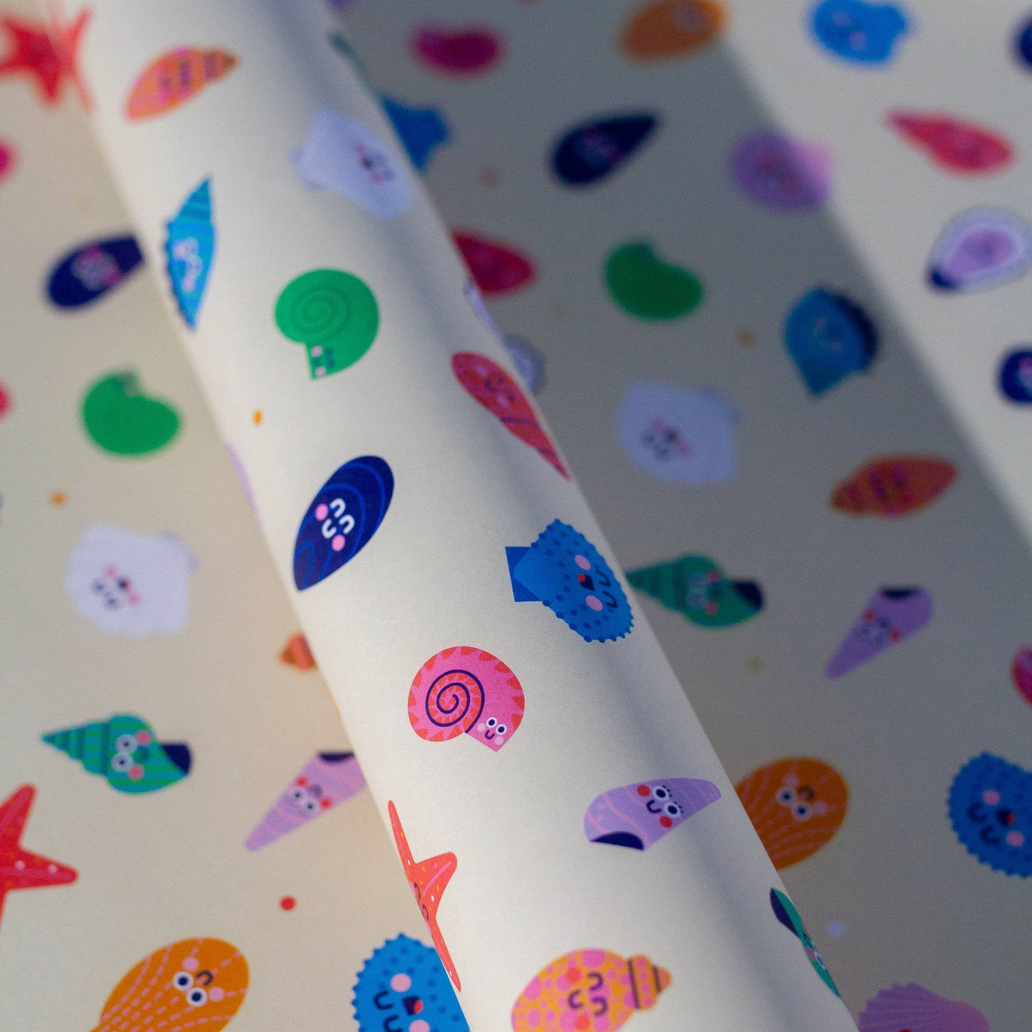 Shells Gift Wrap | Shell Wrapping Paper | Coastal Gifts
