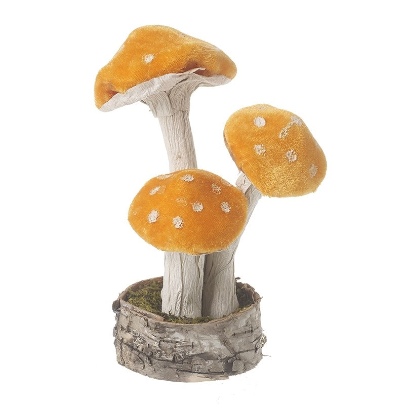 Velvet Orange Standing Mushrooms / Toadstools