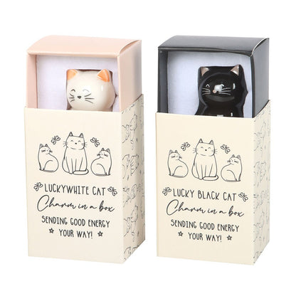 Lucky Cat Charms In A Box | White or Black