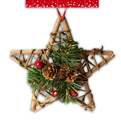 Wooden Hanging Star