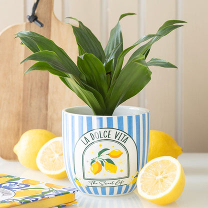 La Dolce Vita Plant Pot