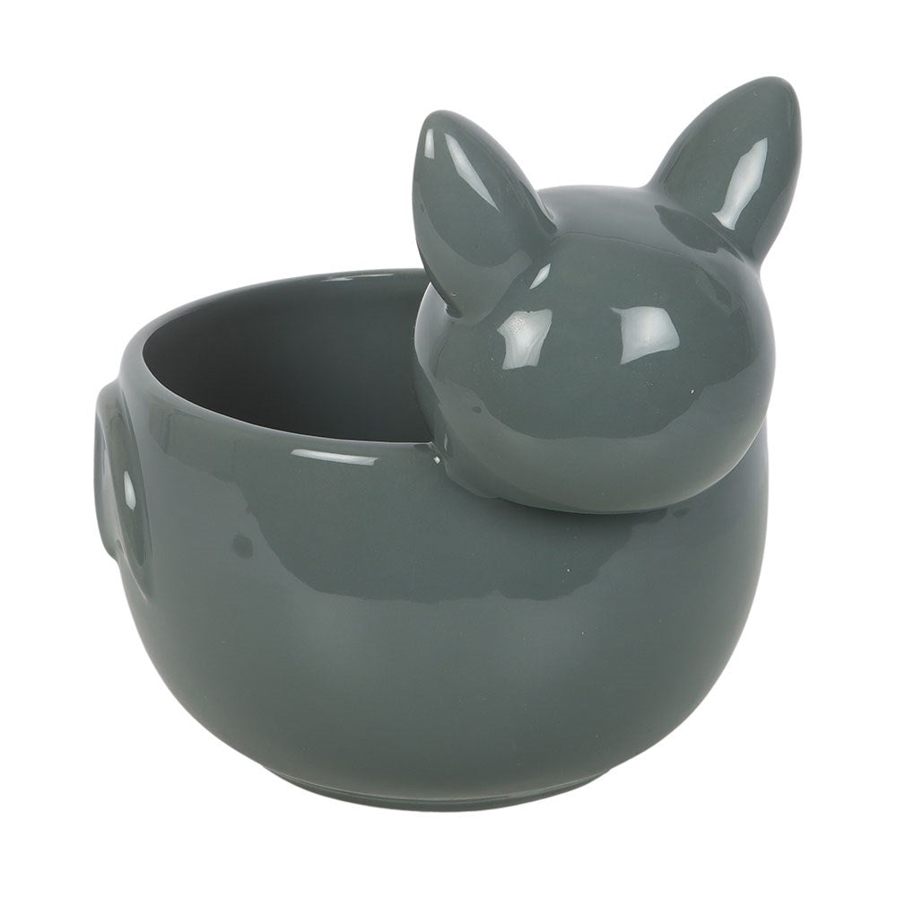 Cute Bat Bowl