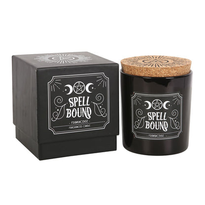 Black Rose | Spell Bound | Twilight Blush Candle