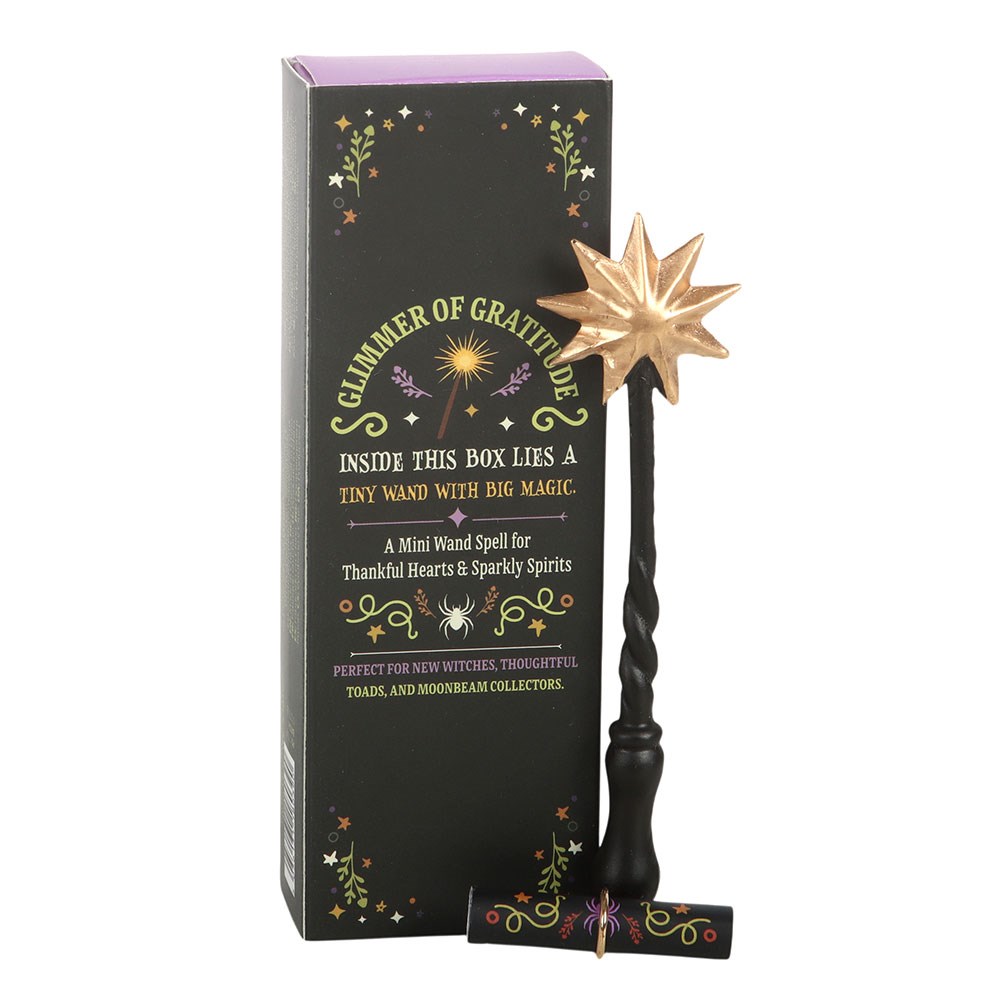 Mini Magic Wand In A Box