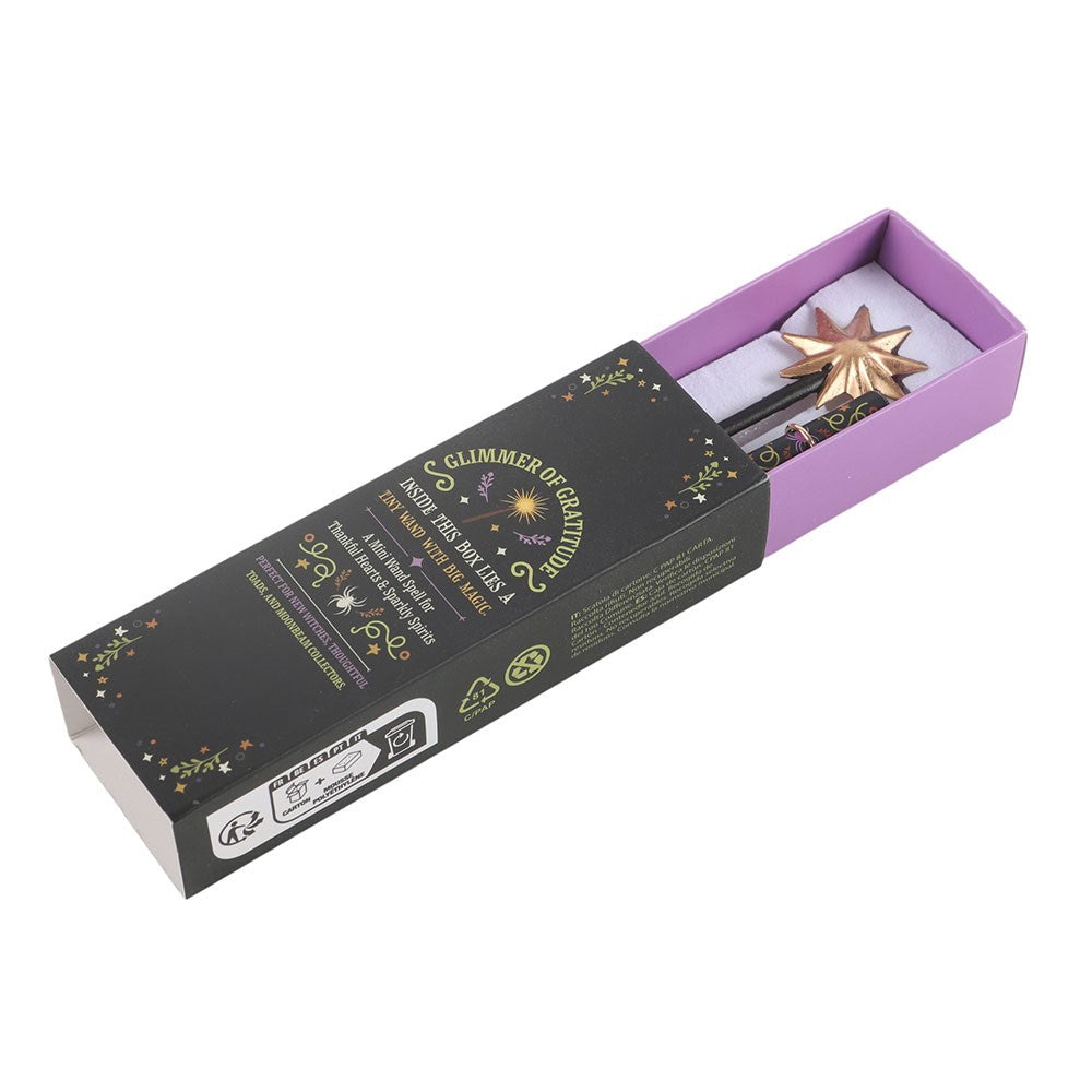 Mini Magic Wand In A Box
