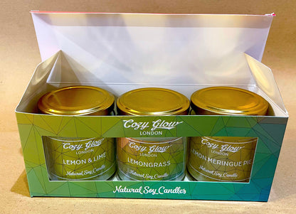 Citrus Regular Soy Candles Collection