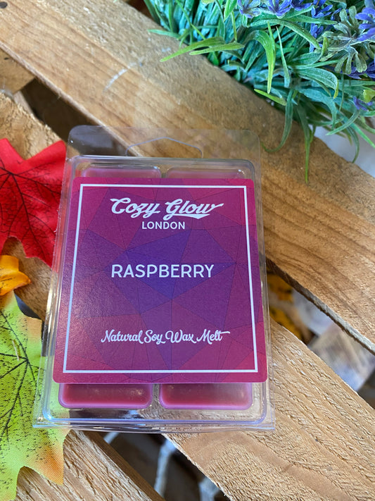 Raspberry Soy Wax Melt