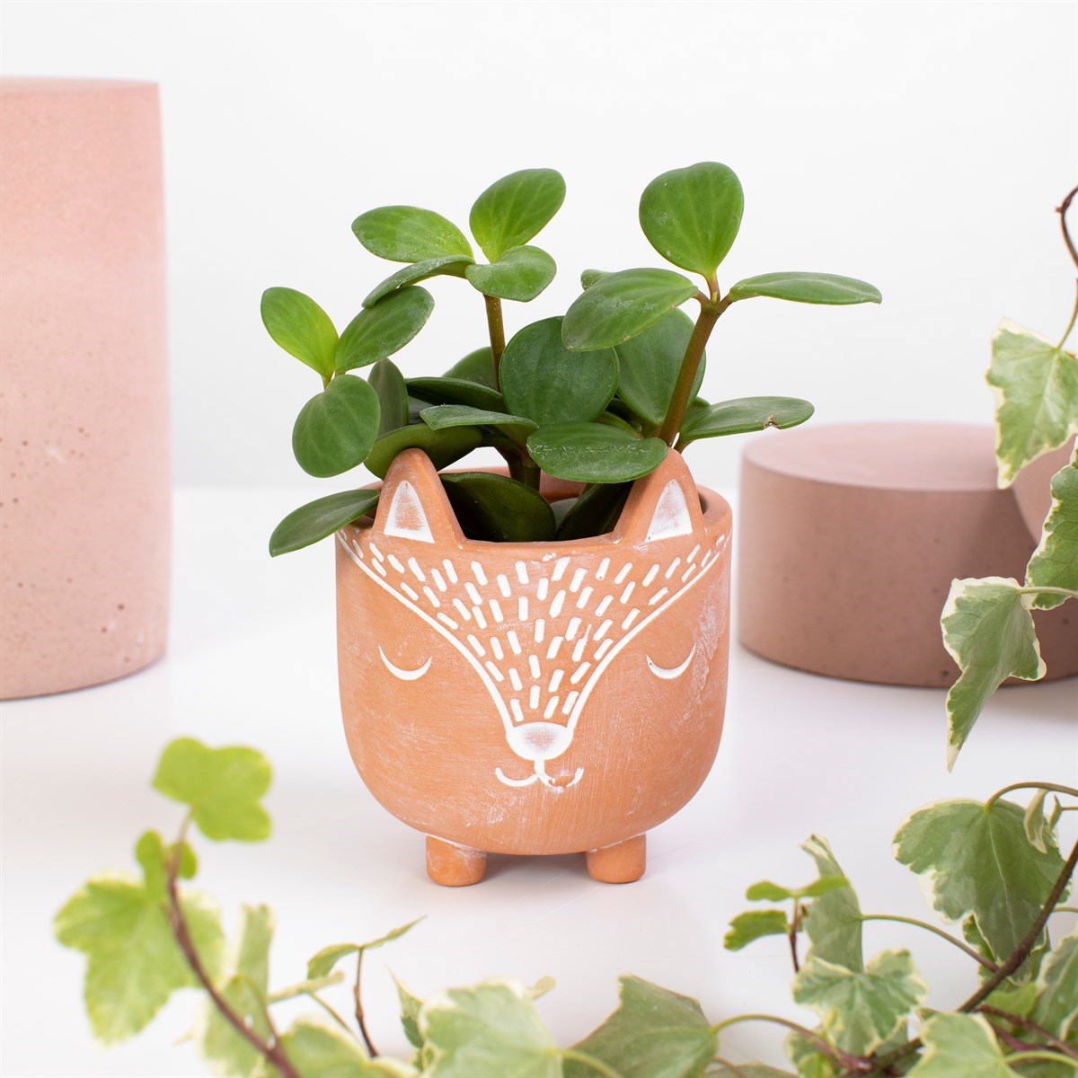 Mini Woodland Fox Terracotta Planter