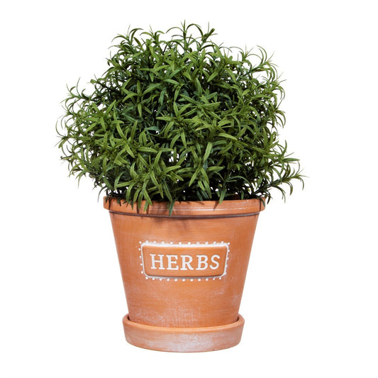 Jardinière en terre cuite aux herbes avec soucoupe