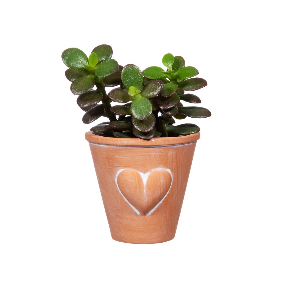 Mini Terracotta Pot With Heart