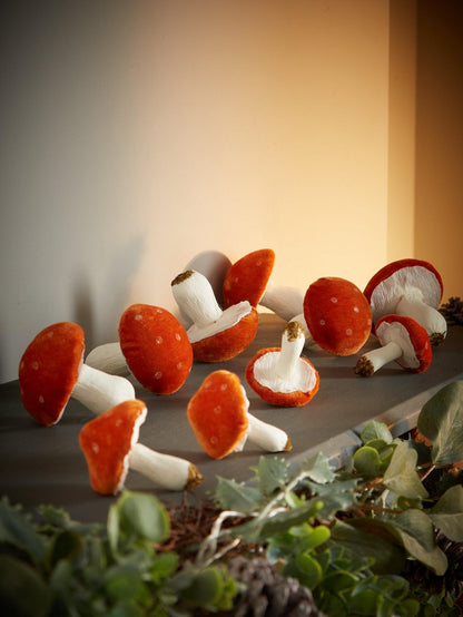 Velvet Spotted Orange Mushrooms/Toadstools