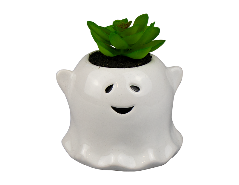 Halloween Ghost with Succulent