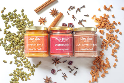Cozy Glow Halloween Regular Soy Candles Trio
Pumpkin Spice, Winter Spice, & Sticky Toffee Pudding