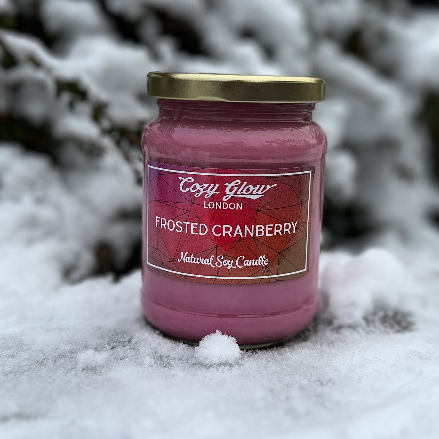 Festive Frosted Cranberry Soy Candle