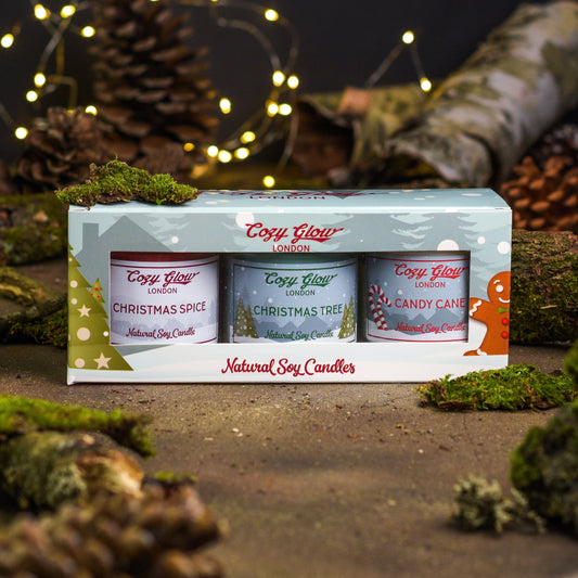 Christmas Berry Soy Candles Collection
