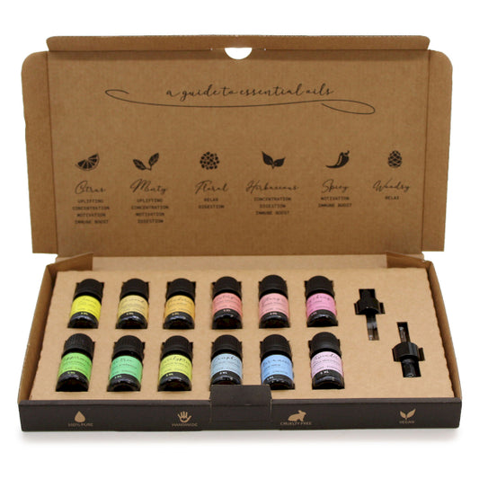 Aromatherapy Essential Oil Set - Starter Pack 1
