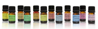 Aromatherapy Essential Oil Set - The Top 12