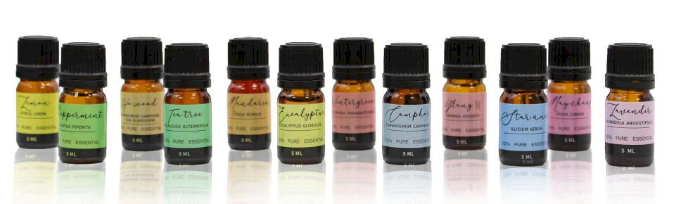Aromatherapy Essential Oil Set - Starter Pack 1